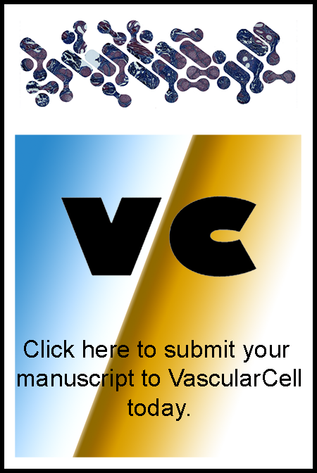 Submit manuscript to Vascular Cell journal. Cover image